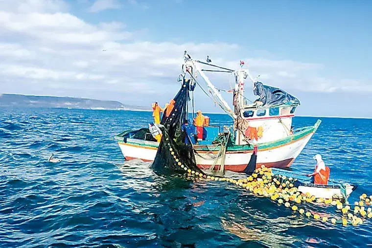 How Suyana built an ocean model to protect Peru's Fishing communities